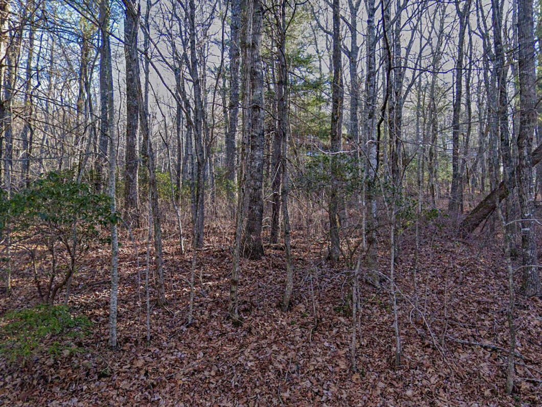 Lot 50 Peek and Peak Sky Valley GA 30537 - 3