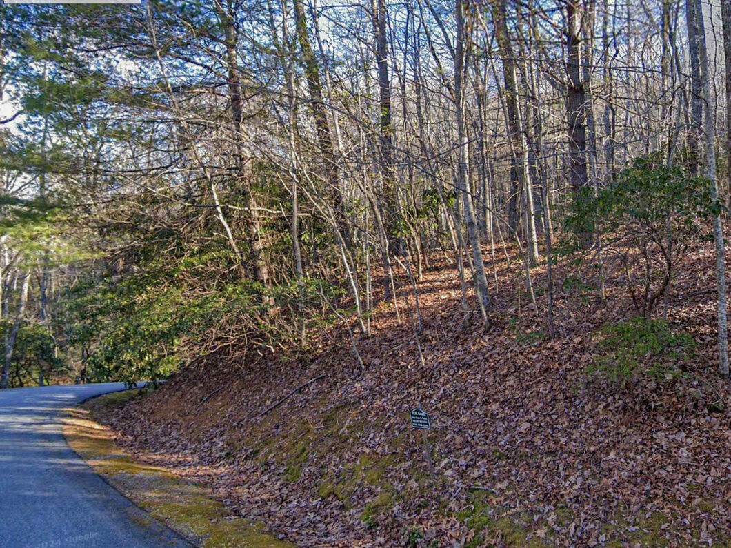 Lot 50 Peek and Peak Sky Valley GA 30537 - 4