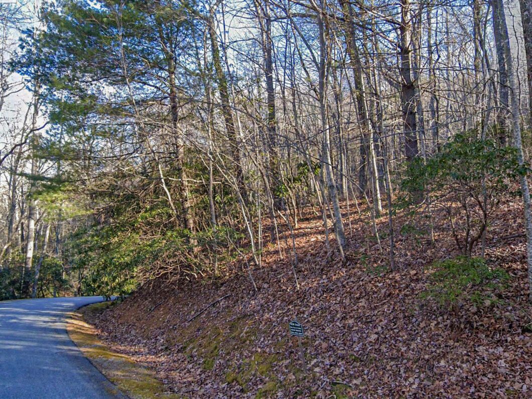 Lot 50 Peek and Peak Sky Valley GA 30537 - 5