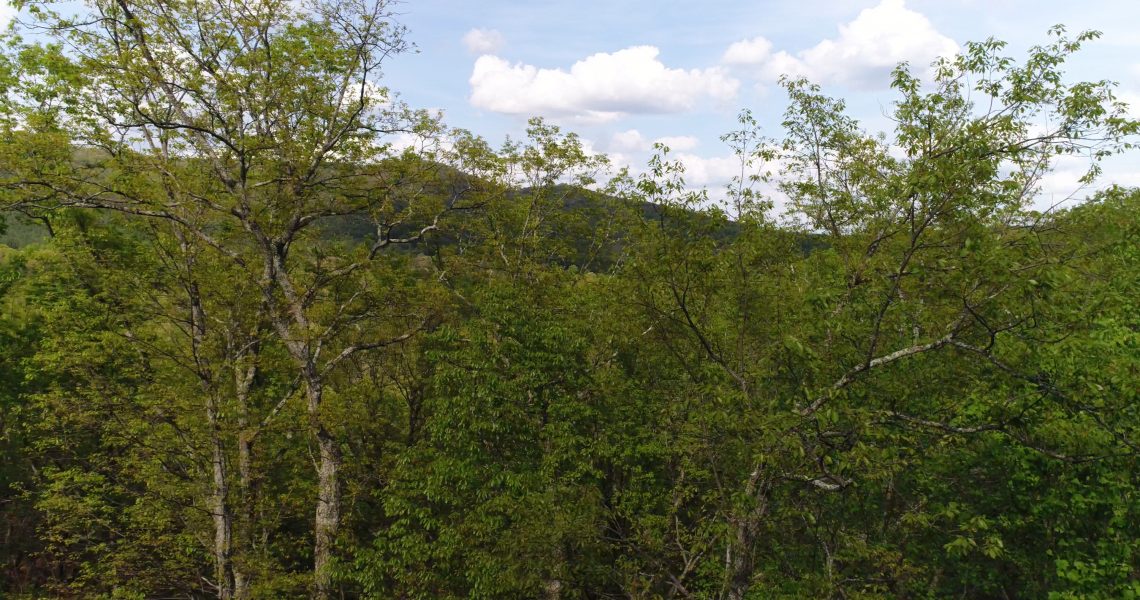 301-The-Orchard-Clarkesville-Ga - 2.jpg | Offered by Chip Durpo RE/MAX Agents Realty