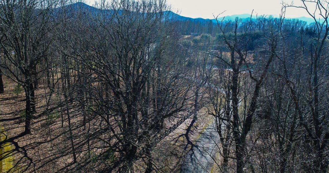 Lot-18-Thomas-Knob - Selling Real Estate Chip Durpo RE/MAX Agents Realty