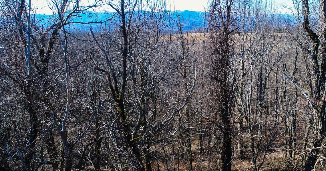 Lot-18-Thomas-Knob - Selling Real Estate Chip Durpo RE/MAX Agents Realty