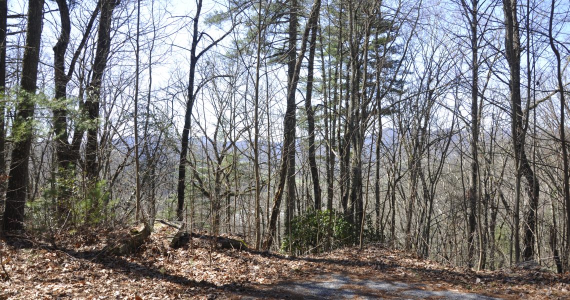 Lot 7 Ridgepole Estates