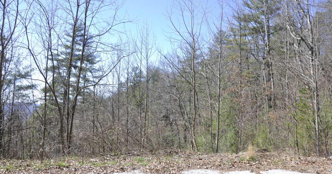 Lot 7 Sky Valley 9.85 acres