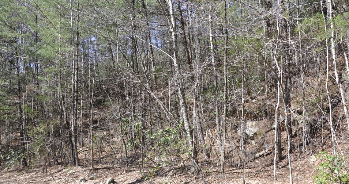 Lot 7 Sky Valley 9.85 acres