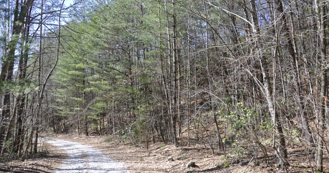 Lot 7 Sky Valley 9.85 acres