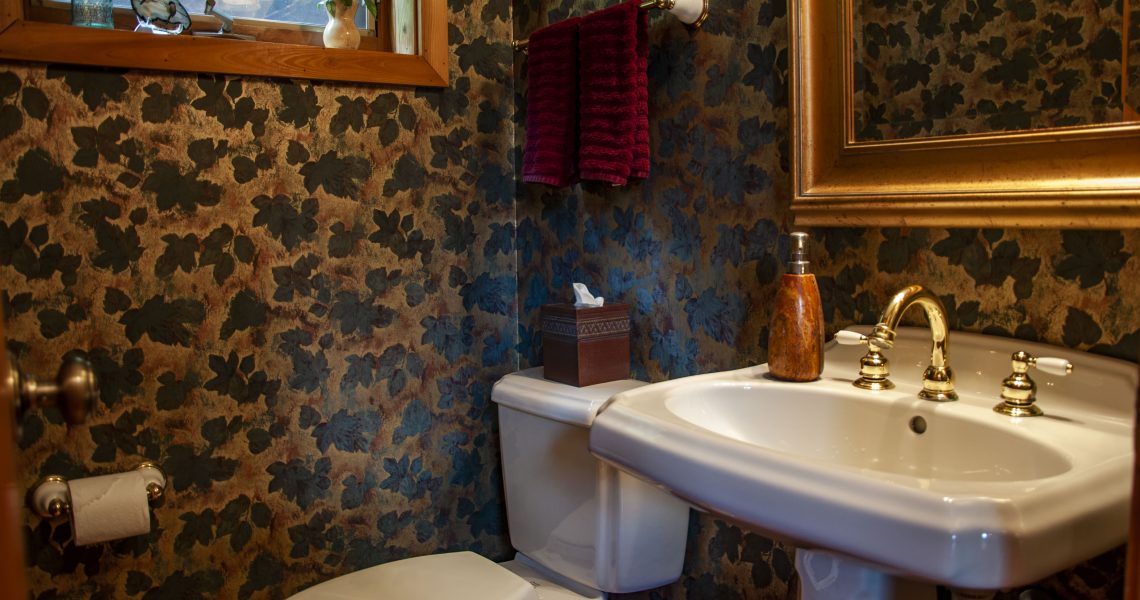 429-highland-gap-scaly-mountain-nc-28775 - Selling Real Estate Chip Durpo RE/MAX Agents Realty