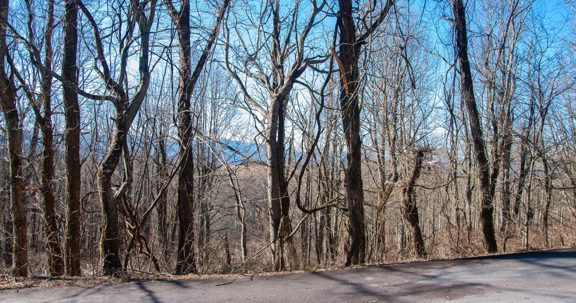 Lot-18-Thomas-Knob - Selling Real Estate Chip Durpo RE/MAX Agents Realty