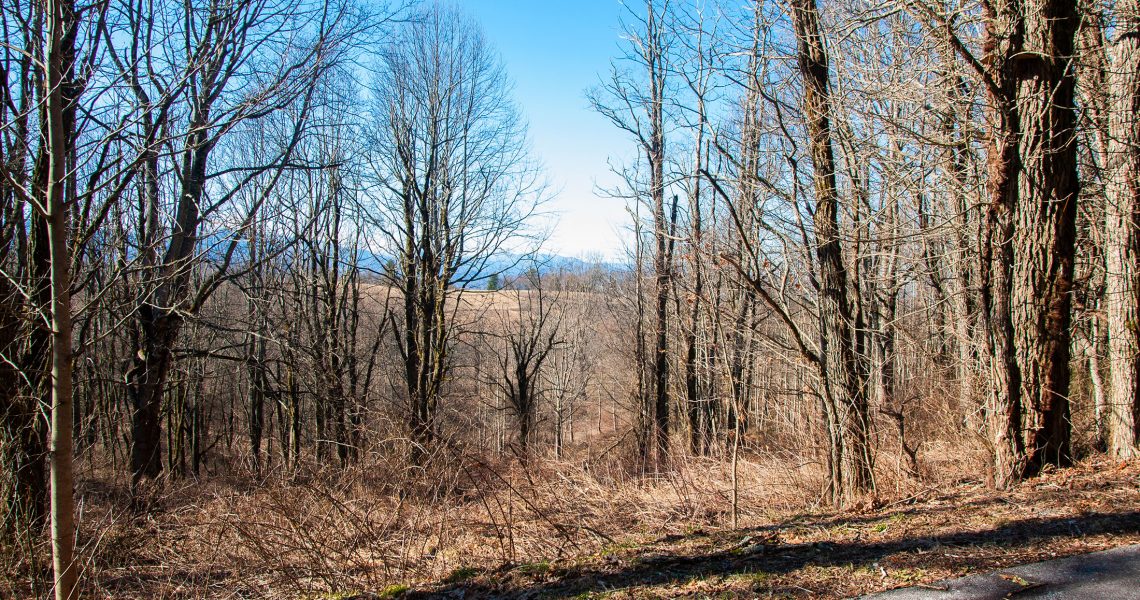 Lot-18-Thomas-Knob - Selling Real Estate Chip Durpo RE/MAX Agents Realty