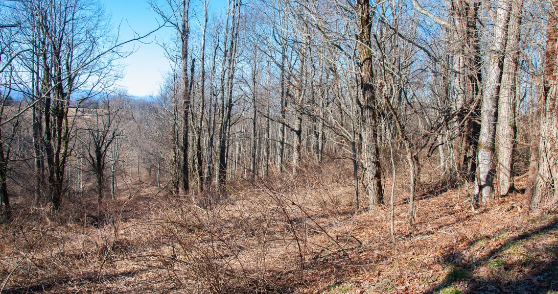 Lot-18-Thomas-Knob - Selling Real Estate Chip Durpo RE/MAX Agents Realty
