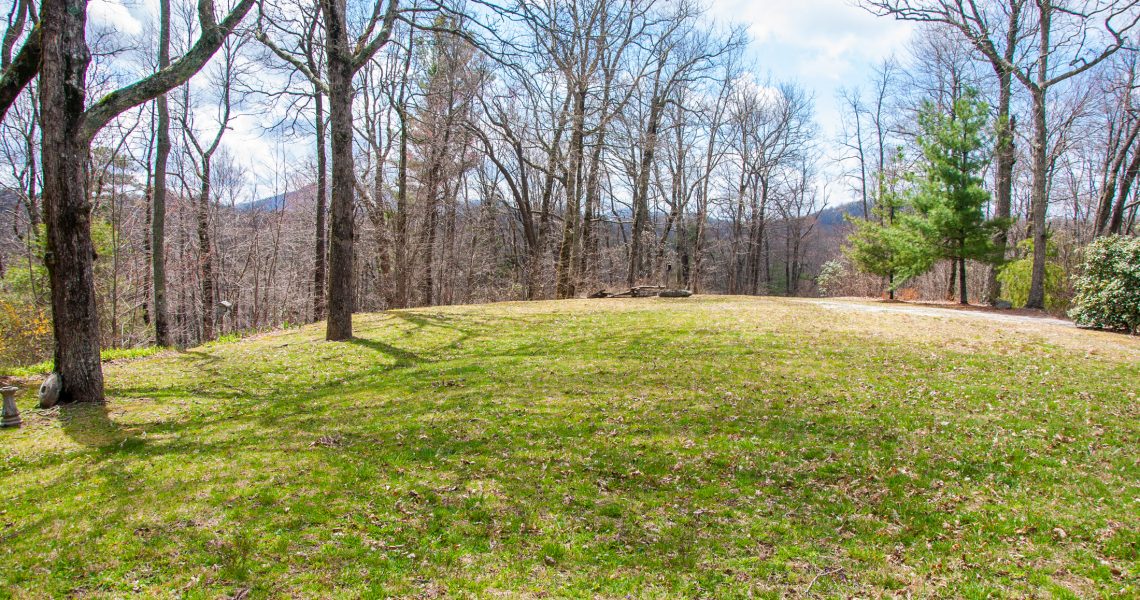 1033-buck-knob - Selling Real Estate Chip Durpo RE/MAX Agents Realty