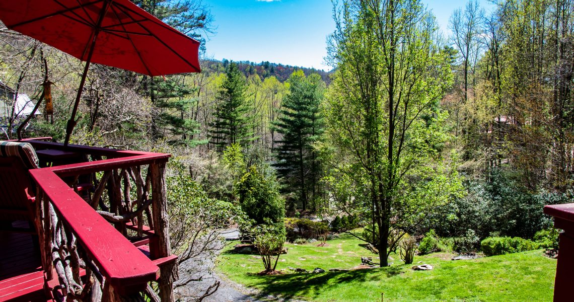 39-double-branch-trail - Selling Real Estate Chip Durpo RE/MAX Agents Realty