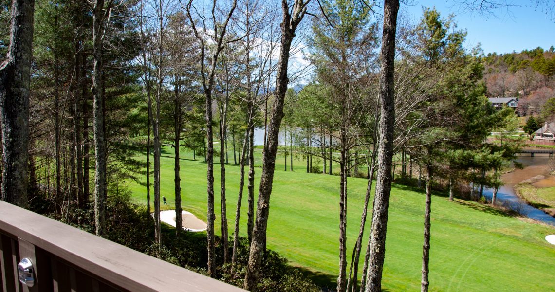 236-ridgepole-dr - Selling Real Estate Chip Durpo RE/MAX Agents Realty