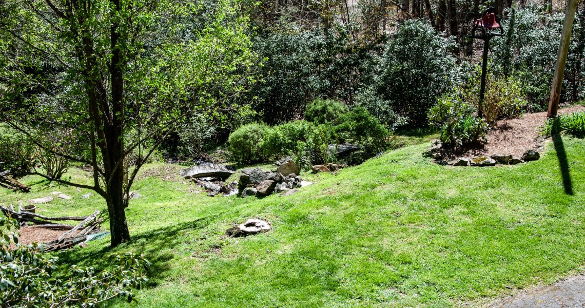 39-double-branch-trail - Selling Real Estate Chip Durpo RE/MAX Agents Realty