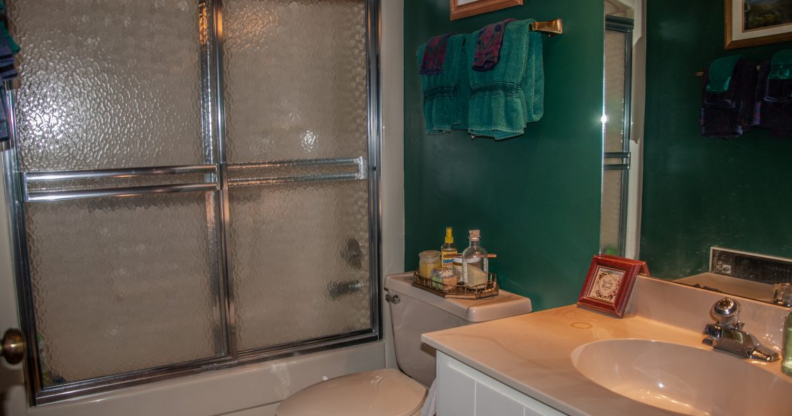 99-alex-mountain - Selling Real Estate Chip Durpo RE/MAX Agents Realty