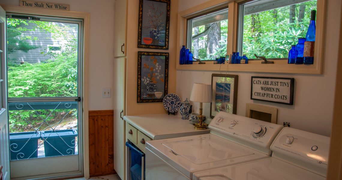 99-alex-mountain - Selling Real Estate Chip Durpo RE/MAX Agents Realty
