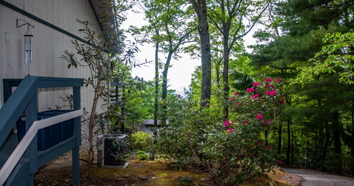 99-alex-mountain - Selling Real Estate Chip Durpo RE/MAX Agents Realty