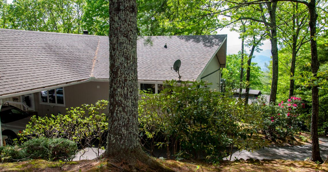 99-alex-mountain - Selling Real Estate Chip Durpo RE/MAX Agents Realty