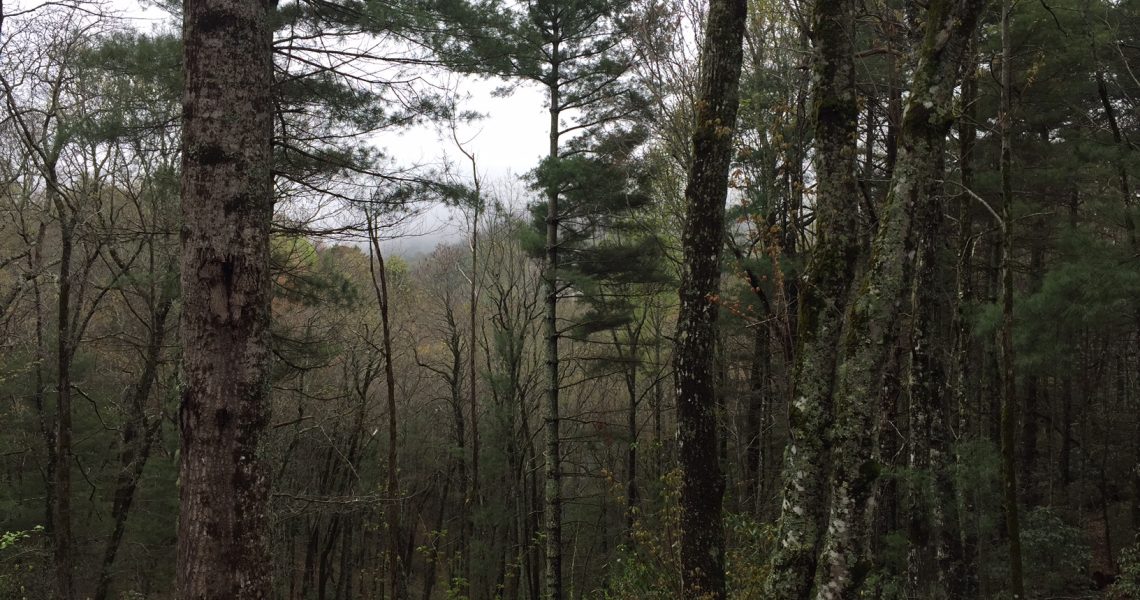 485-E-Sugarbush-Sky-Valley-Ga - IMG_4396.jpg | Offered by Chip Durpo RE/MAX Agents Realty