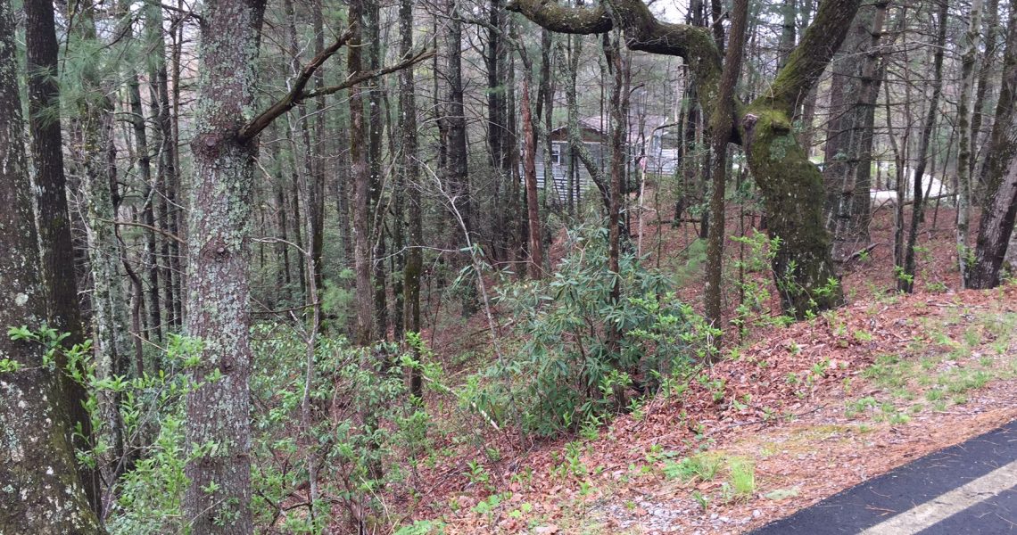 485-E-Sugarbush-Sky-Valley-Ga - IMG_4397.jpg | Offered by Chip Durpo RE/MAX Agents Realty