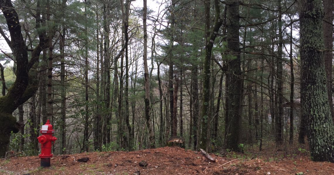 485-E-Sugarbush-Sky-Valley-Ga - IMG_4398.jpg | Offered by Chip Durpo RE/MAX Agents Realty