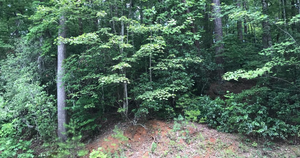 lot-29-celestial-circle - Selling Real Estate Chip Durpo RE/MAX Agents Realty