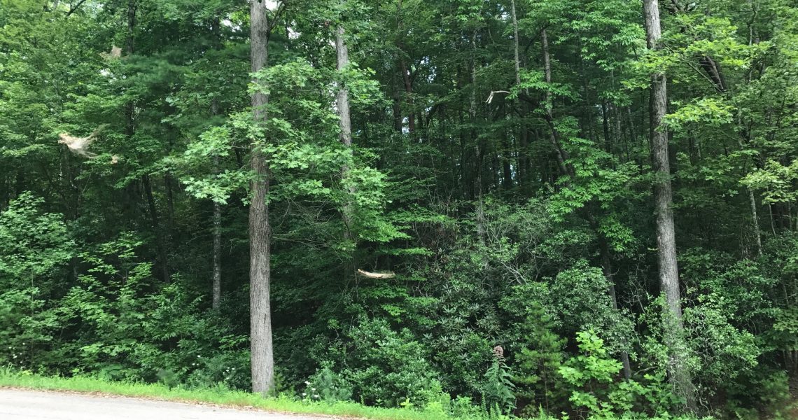 lot-29-celestial-circle - Selling Real Estate Chip Durpo RE/MAX Agents Realty