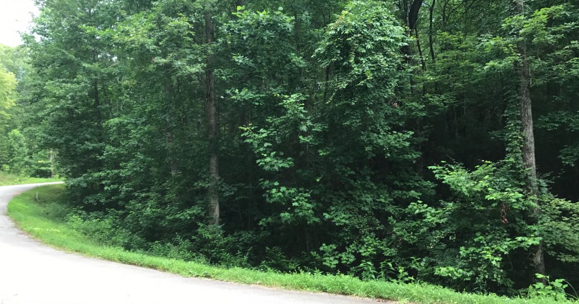 lot-29-celestial-circle - Selling Real Estate Chip Durpo RE/MAX Agents Realty