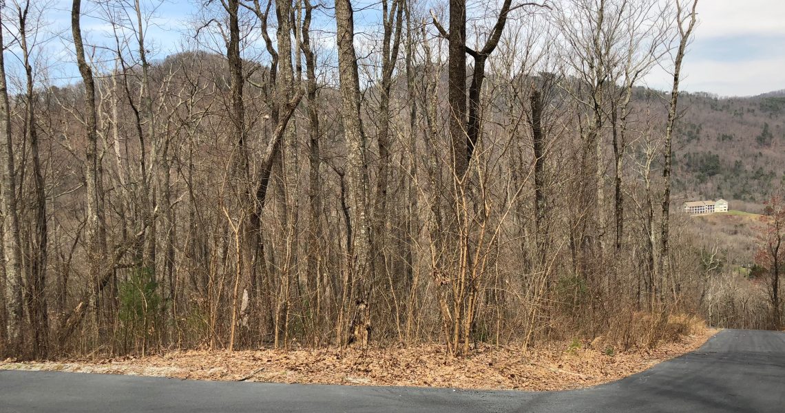 Lot-94-The-Overlook-Kingwood - IMG_4957.jpg | Offered by Chip Durpo RE/MAX Agents Realty