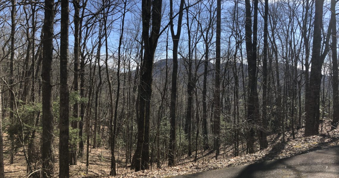 1405-rabun-branch - Selling Real Estate Chip Durpo RE/MAX Agents Realty