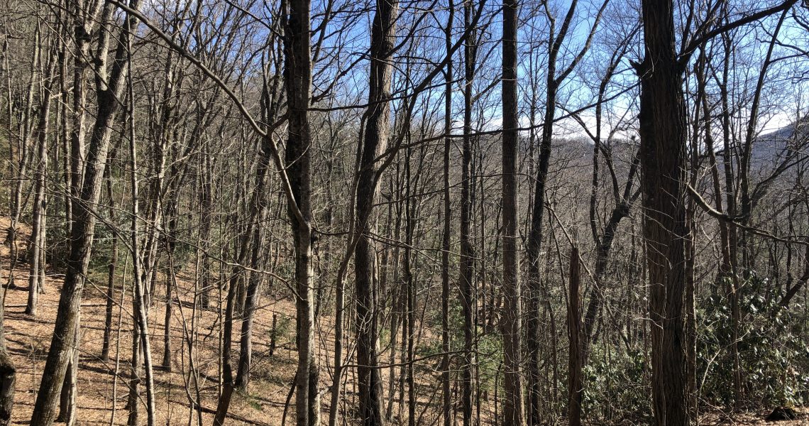 1405-rabun-branch - Selling Real Estate Chip Durpo RE/MAX Agents Realty