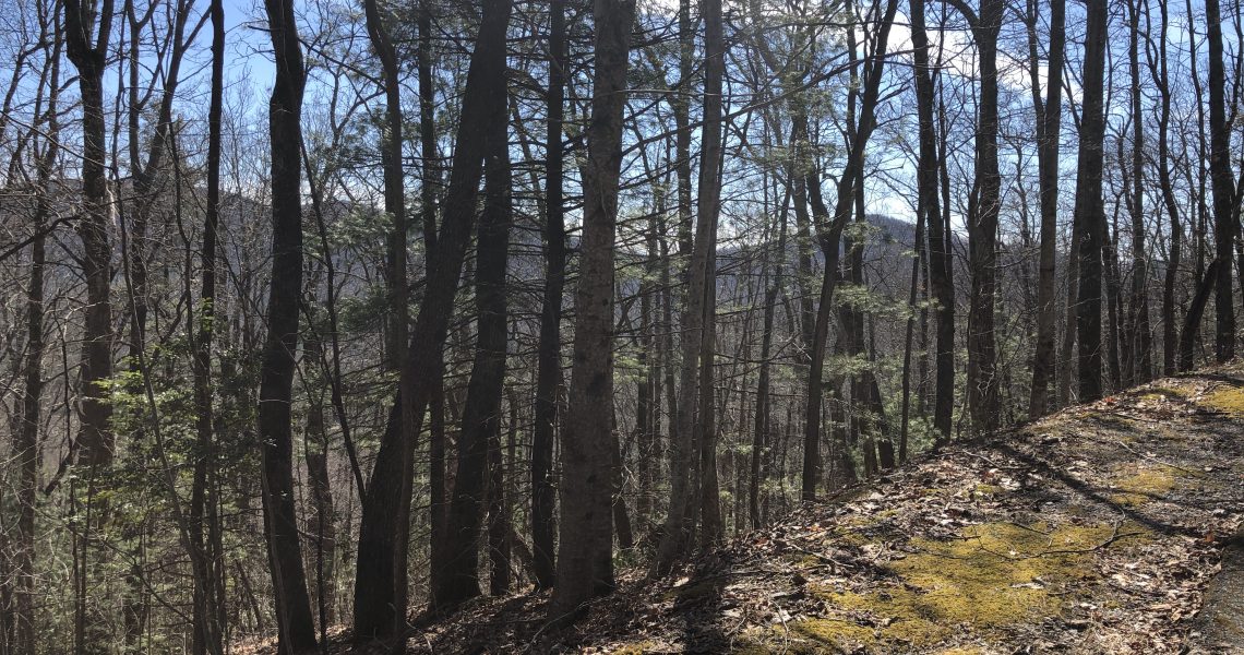 1405-rabun-branch - Selling Real Estate Chip Durpo RE/MAX Agents Realty
