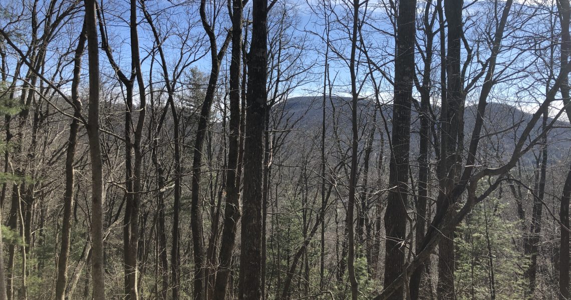 1405-rabun-branch - Selling Real Estate Chip Durpo RE/MAX Agents Realty