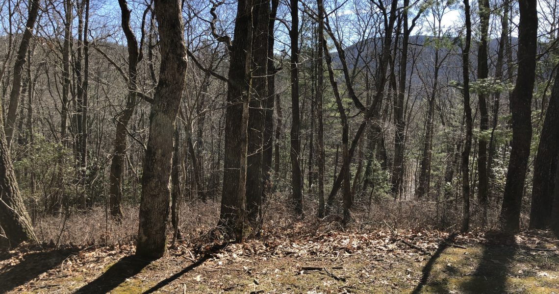 lot-10-e-sugarbush - Selling Real Estate Chip Durpo RE/MAX Agents Realty