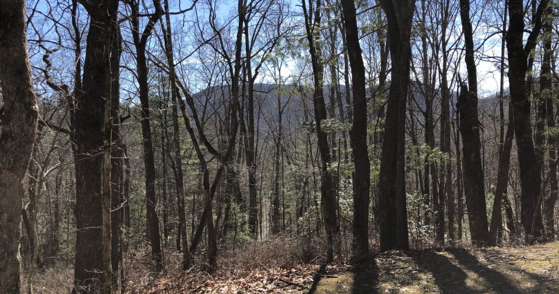 lot-10-e-sugarbush - Selling Real Estate Chip Durpo RE/MAX Agents Realty