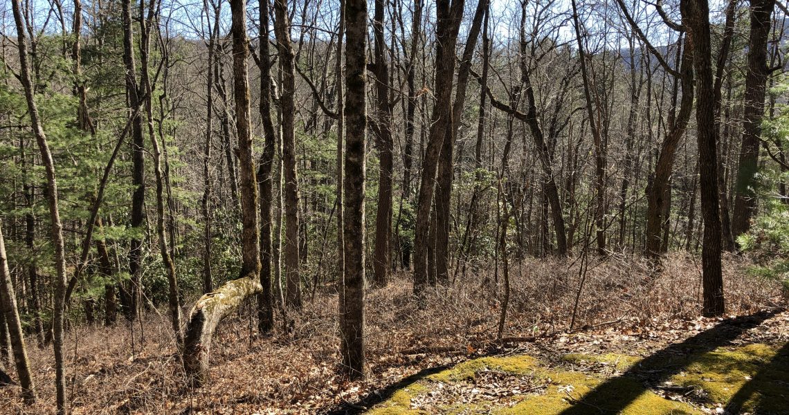 lot-10-e-sugarbush - Selling Real Estate Chip Durpo RE/MAX Agents Realty