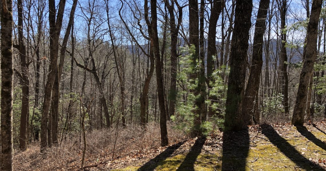 lot-10-e-sugarbush - Selling Real Estate Chip Durpo RE/MAX Agents Realty