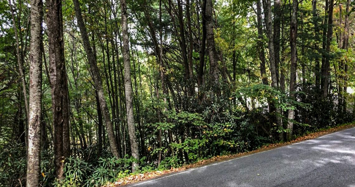 lot-1-ridgepole-dr-sky-valley-ga-30537 - IMG_6992