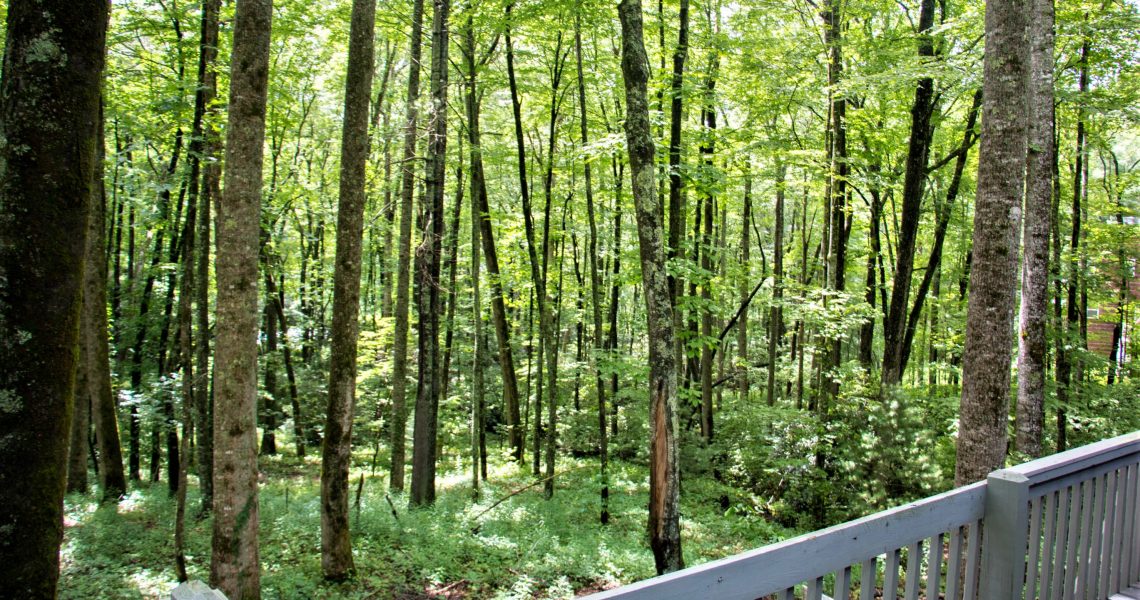 400-bald-mountain-sky-valley - Selling Real Estate Chip Durpo RE/MAX Agents Realty