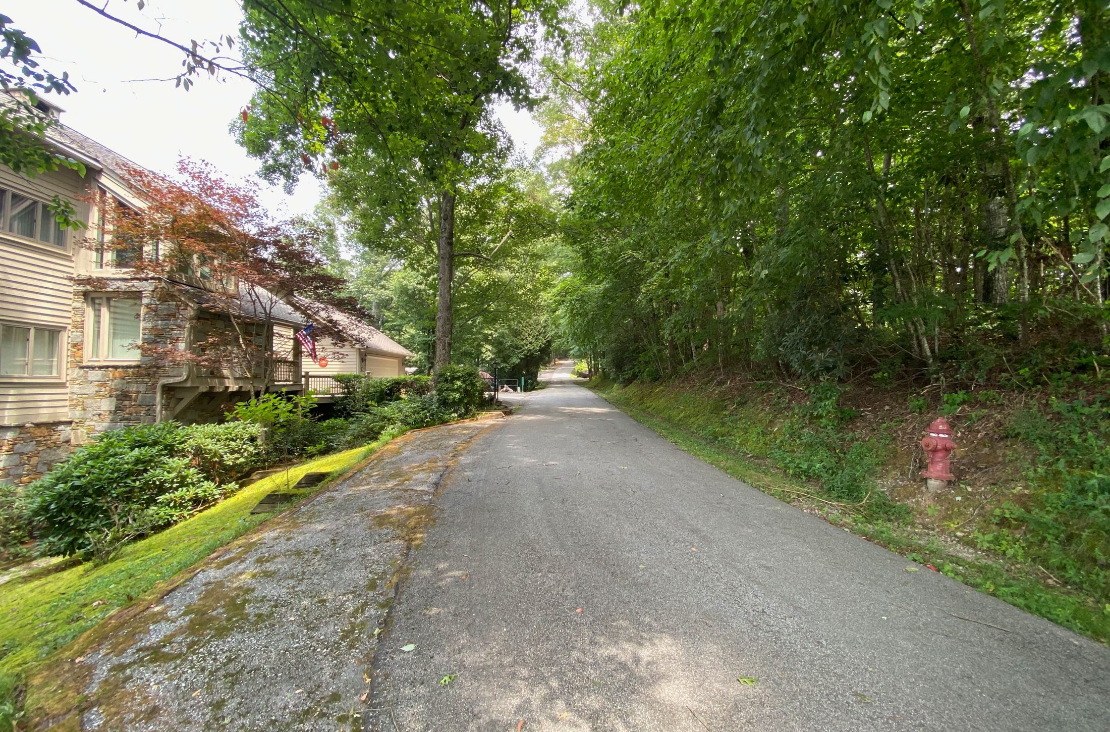 Lot-1-pleasant-mountain-dr-sky-valley-ga-3