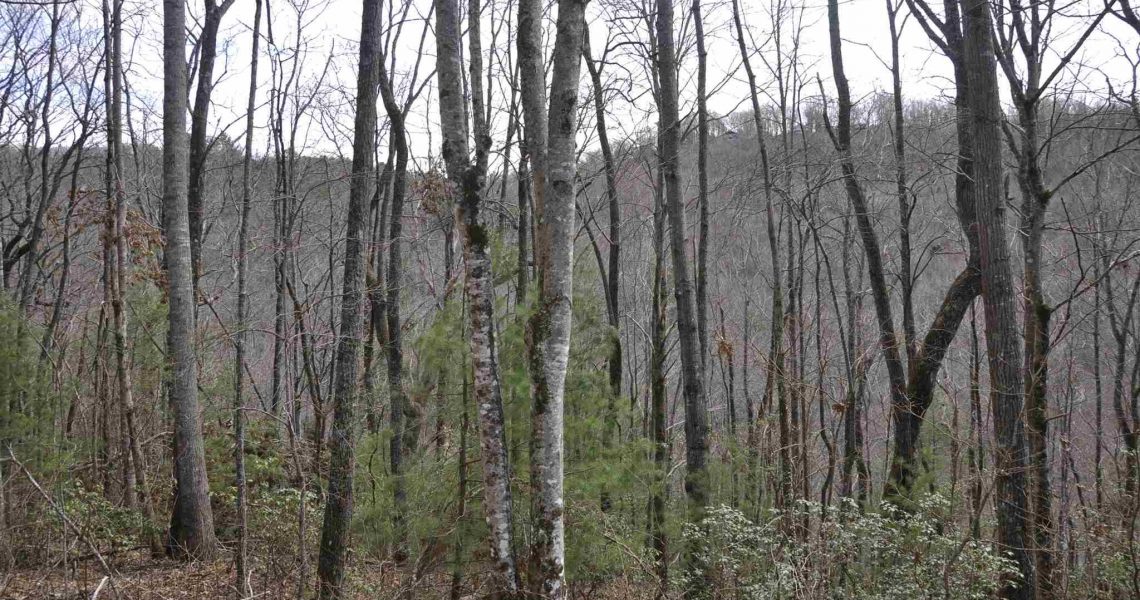 Lot-7-Winding-Ridge - Selling Real Estate Chip Durpo RE/MAX Agents Realty