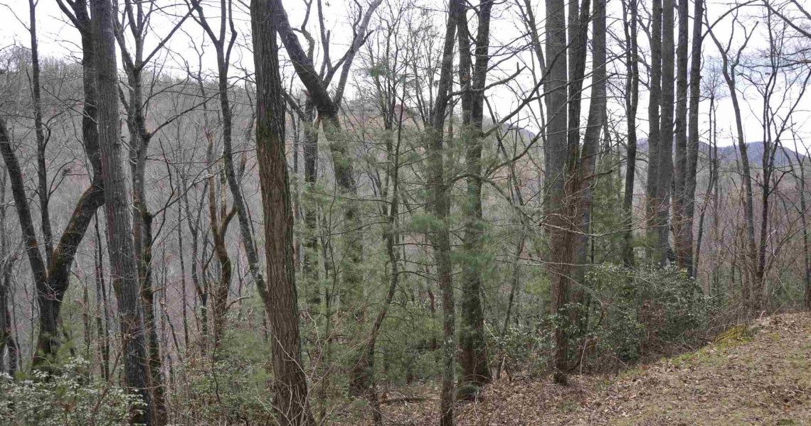 Lot-7-Winding-Ridge - Selling Real Estate Chip Durpo RE/MAX Agents Realty