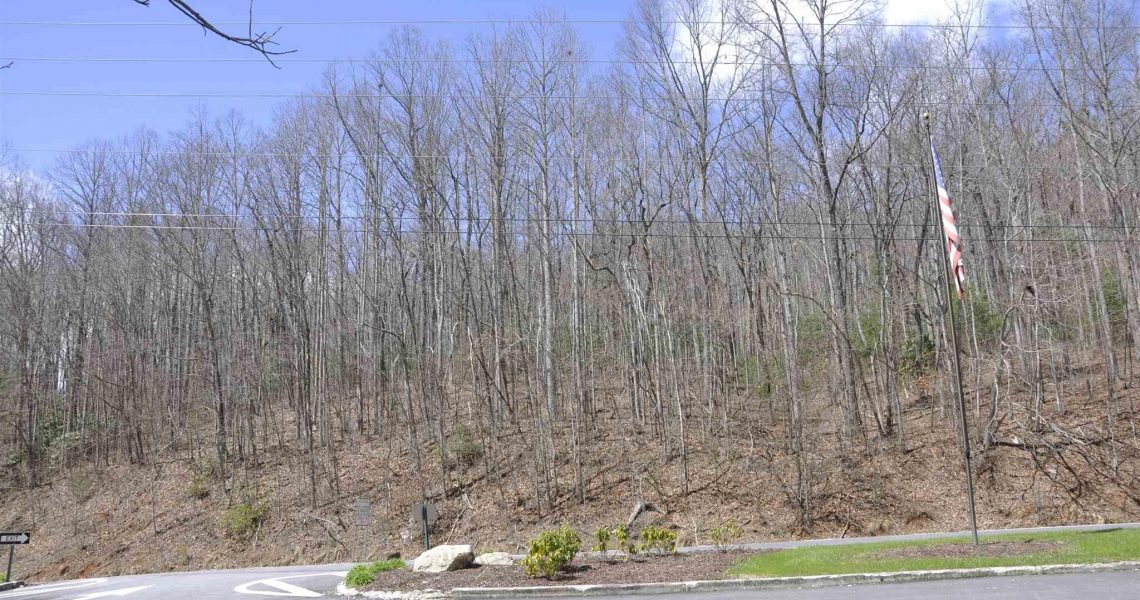 Lot-7-Winding-Ridge - Selling Real Estate Chip Durpo RE/MAX Agents Realty