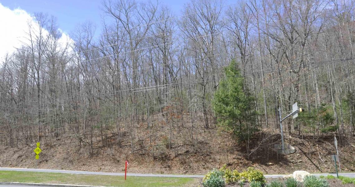 Lot-7-Winding-Ridge - Selling Real Estate Chip Durpo RE/MAX Agents Realty