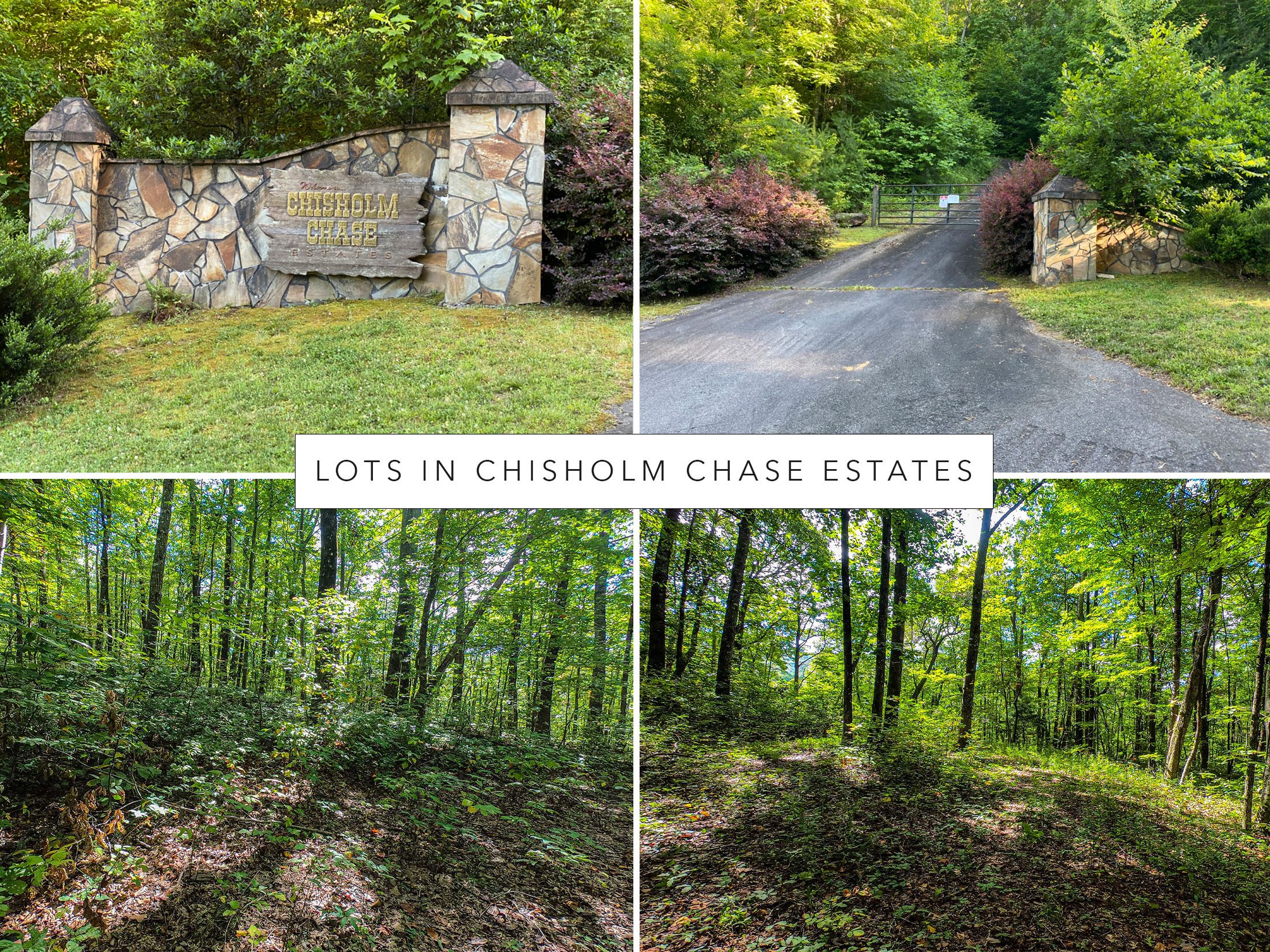 Lots-in-Chisholm-Chase-Estates