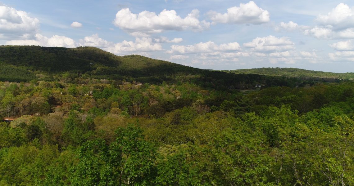 301-The-Orchard-Clarkesville-Ga - Main.jpg | Offered by Chip Durpo RE/MAX Agents Realty